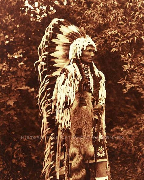 Cayuse Indian Chief Umapine Vintage Photo Native American