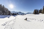 Rodelbahn Panoramaweg Reither Kogel - Reith im Alpbachtal - Tirol ...