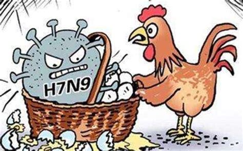 Bird Flu Confirmed In 9 States For Poultry 12 States For Crow Wild Birds Including Jandk