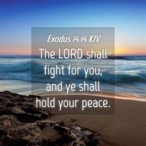 Exodus 1414 Kjv The Lord Shall Fight For You And Ye Shall Hold