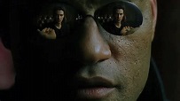 Matrix: spiegazione e significato della trama – Auralcrave