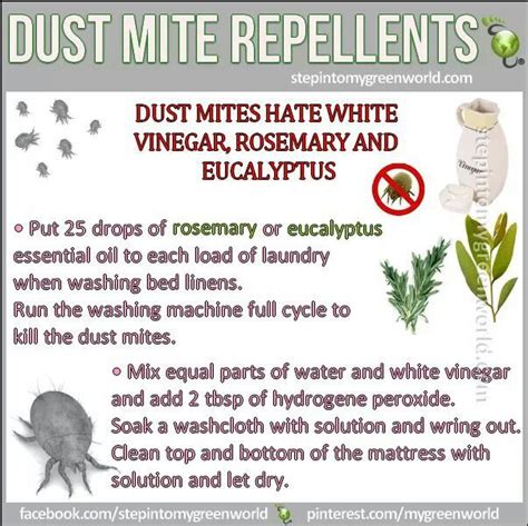Get Rid Of Dust Mites Diy Pinterest
