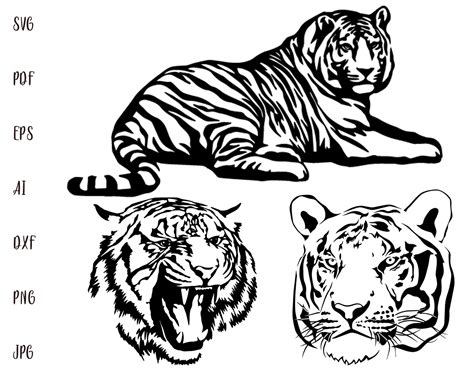 Tiger Svg Wildkatze Digitale Dateien Svg Tiere Svg Tiger Art Etsyde