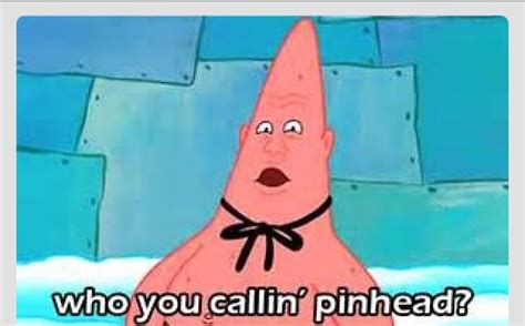 Pinhead Larry Spongebob Funny Funny Spongebob Memes Spongebob