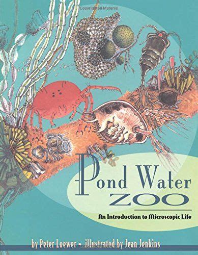 Pond Water Zoo An Introduction To Microscopic Life Athen Pond