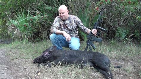 For a number of years working for a state agency, part of my job was feral hog removal and i did so with several different calibers, but my pet rifle was a.223 remmy 700. Tom Walker Hog hunts ,Boar Hog vs AR 15 one shot kill ...