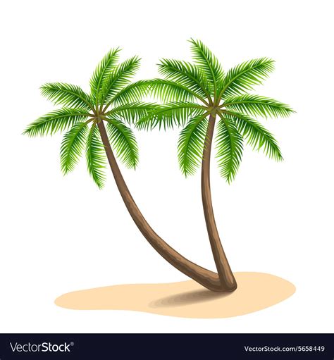 Palm Trees Royalty Free Vector Image Vectorstock