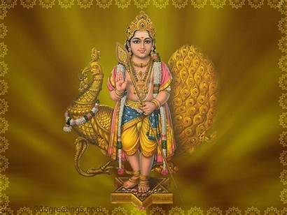 Lord Murugan Kartikeya Subramanya Wallpapers God Swamy
