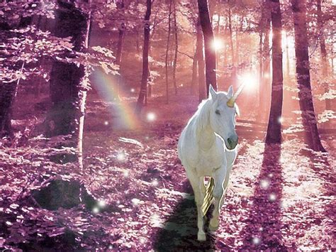 Unicorn In The Pink Forest Unicorn Pictures Unicorn Backgrounds