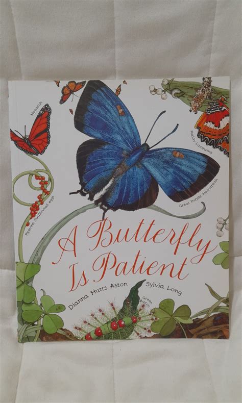 A Butterfly Is Patient Hobbies And Toys Books And Magazines Childrens