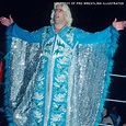 Did anybody watch A&E’s WWE Most wanted Treasure about Ric Flair’s ...