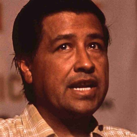 The 10 Best Books On Cesar Chavez Brooksy Society