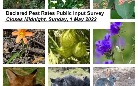 Declared Pest Rates State Invites Public Submissions Thru 1 May 2022 Leschenault Biosecurity