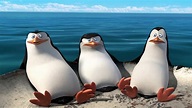DreamWorks Madagascar en Español Latino | Perdido en el mar | Los ...