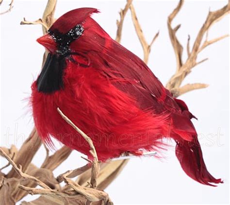 Sparkling Red Male Cardinal Song Bird Valentines Day Christmas