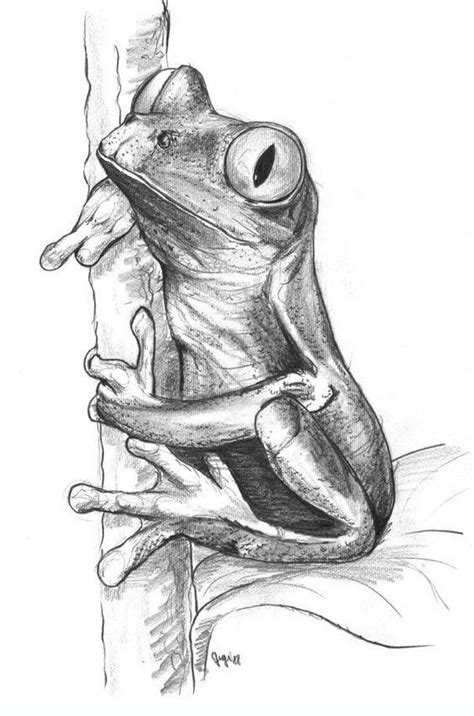 Pin By Ellen Bounds On My Mama Loved Frogs Animal Drawings Frog Art