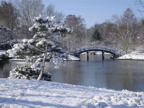 Maybe you would like to learn more about one of these? Blue's Clues: Snow Covered Japanese Garden