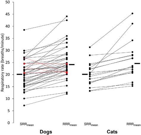 How to take your pet's body temperature. Conjoined dot plots showing average sleeping respiratory ...