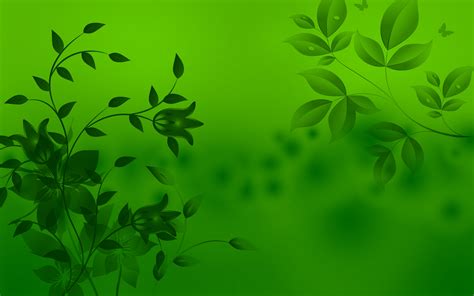 Here you can download 45 hd green wallpapers for free, they can be used as the background for your desktop. Green Wallpapers High Quality | Download Free
