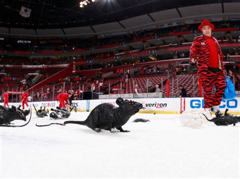 Why Do Florida Panthers Fans Throw Rats On The Ice National Post