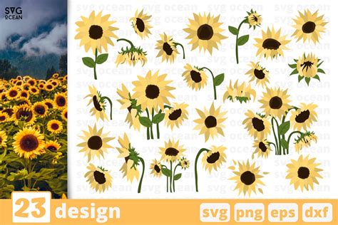 23 SUNFLOWERS SVG BUNDLE | sunflowers svg | flower svg (570890) | Cut