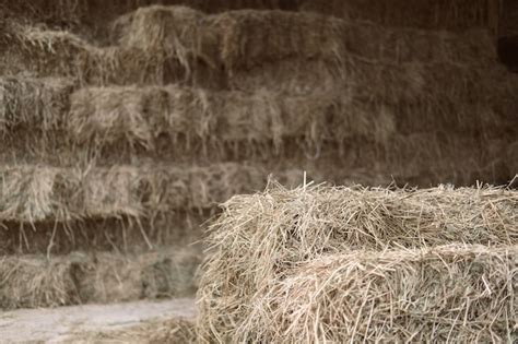 Premium Photo Heap Of Rice Straw Hay In Farm
