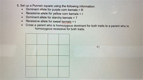 Now we are going to set up a square using both of the parents. Solved: Genetics Lab Dihybrid Crosses 1. Set Up A Punnett ...
