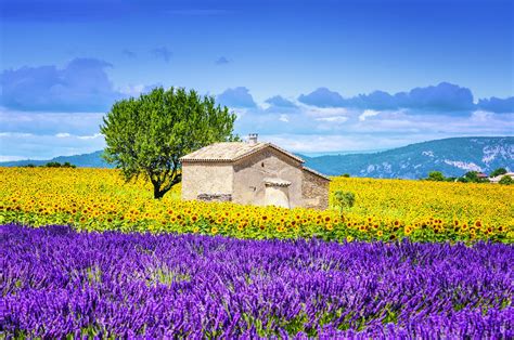 Provence Alpes Cote D Azur