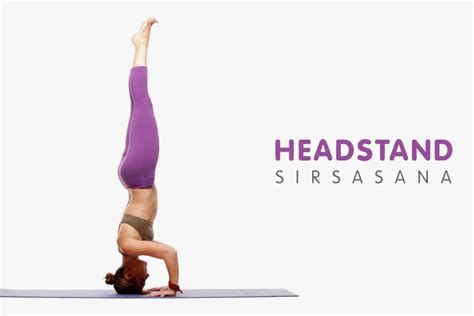 Headstand Sirsasana Workout Trends