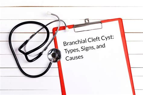 What Is Branchial Cleft Cyst Types Causes And Symptoms