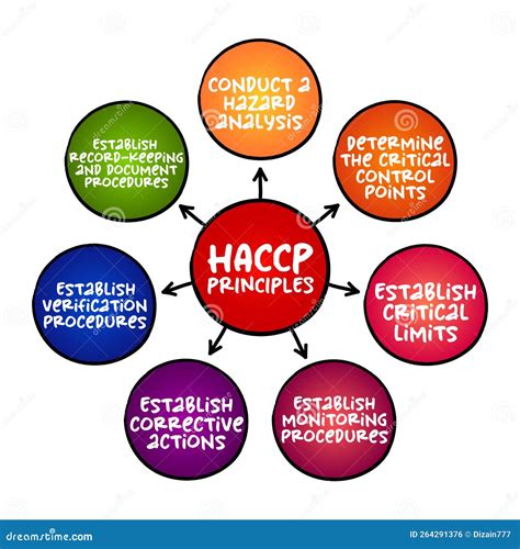 Principles Of Haccp Circle Infographic Template Cartoon Vector