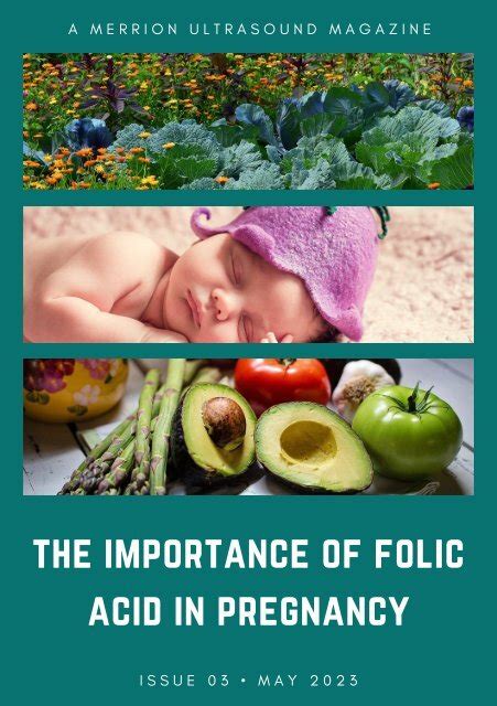 the importance of folic acid in pregnancy includes recipes by merrion fetal health