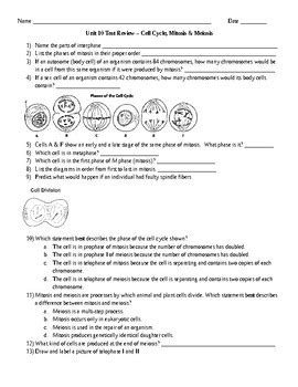 Errors can occur during meiosis producing gametes with an extra or missing chromosome. Mitosis, Meiosis, & Cell Cycle Test Review by Liz Miller | TpT