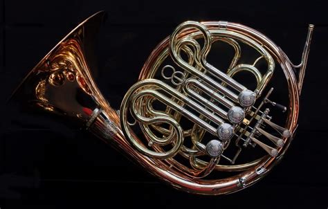 Interesting Facts About French Horns Just Fun Facts