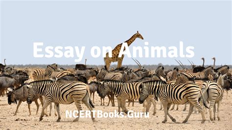 Essay On Animals In English Long And Short Essay On Animals For Kids