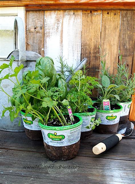Tips For Planting A Container Herb Garden Big Gardening