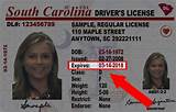 Images of Look Up Driver''s License Number California