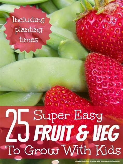 Best Fruit And Veg To Grow With Kids Gardens Fruits And