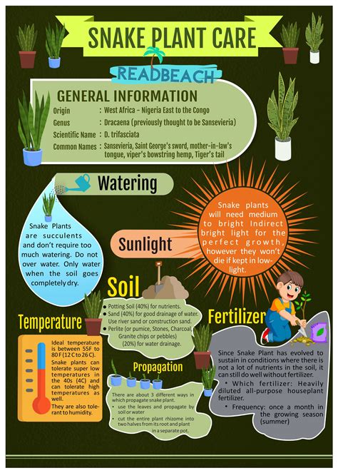 Most recipes that use potatoes call for them to be peeled and diced—a task that can take at least five minutes, but sometimes much longer depending on the. Snake Plant Care - ReadBeach.com