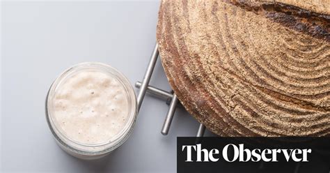 The Science Of Making Sourdough Bread Food Science The Guardian