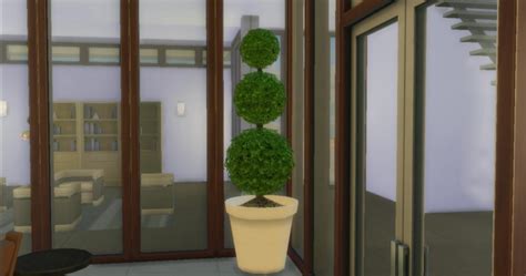 Potted Plant In Spiral Elegance By Adonispluto At Mod The