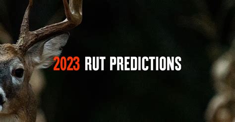 2023 Rut Predictions Expert Plan To Hunt The Deer Rut Onx Hunt