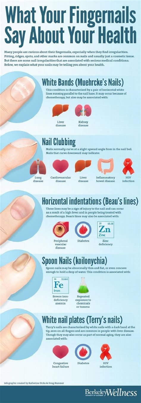 What Your Fingernails Say About Your Health Fingernail Health Health