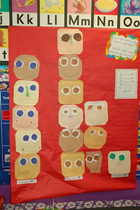 Eye Color Graph Fall Classroom Ideas Beginning Of Kindergarten