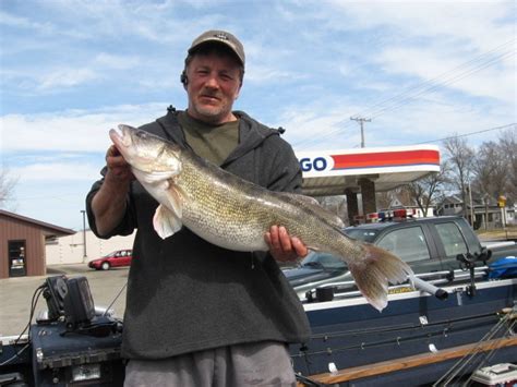 Illinois Dnr Certifies New State Record Walleye Outdoorhub