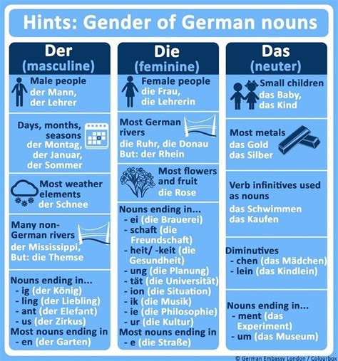 German Nouns Please Help Masculine Feminine Duolingo