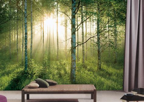 Sunlight Forest Mural Pr1855 Full Size Large Wall Murals The Mural Store