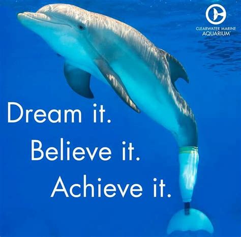 Dream It Believe It Achieve It Dolphin Quotes Dolphins