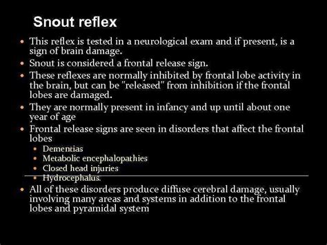 Neurologic Development In Infancy Introduction The Central