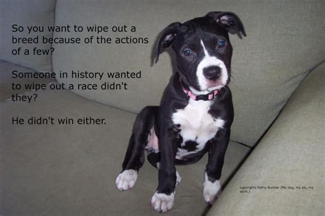 Pin By Kandis Milonoff On Breed Discrimination Cute Dog Pictures Dog